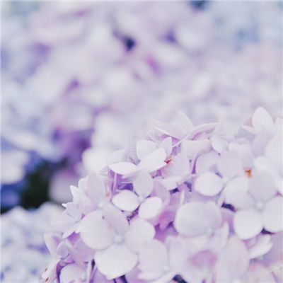 热血江湖传奇手游官方
